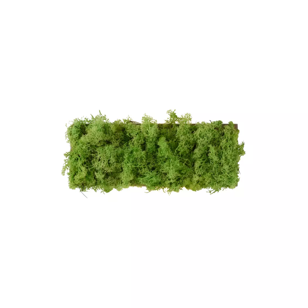 LED-Wandleuchte Green Carl