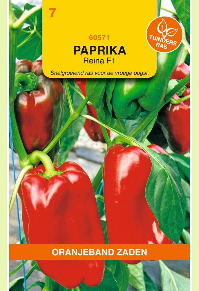 Oranjeband Paprika Reina F1 - Groentezaden