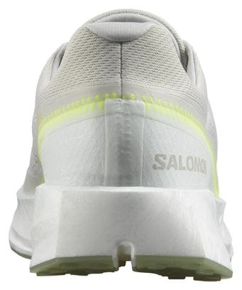 Chaussures de Running Salomon Index 2.0 Gris Blanc