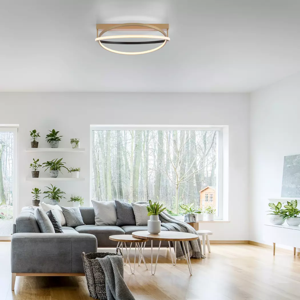 LED-Deckenleuchte Q-Beluga