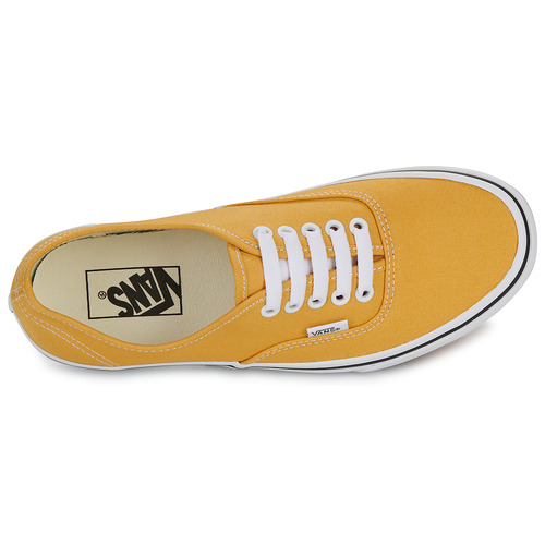 Vans - AUTHENTIC - Jaune