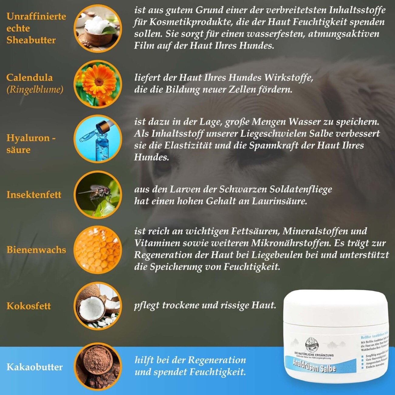 Bellfor Analdrüsen Salbe für Hunde - 30 ml