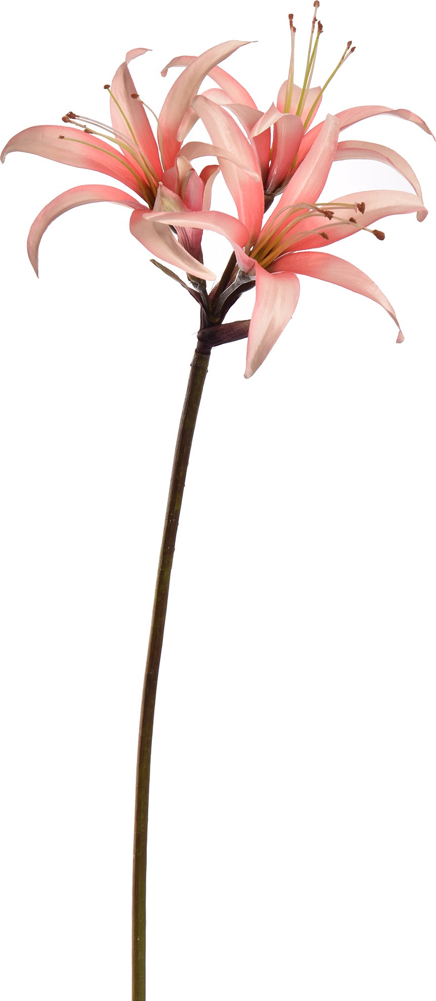 Jasaco PURE kunstbloem Amaryllis roze 80 cm