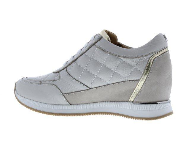 Moda in Pelle Berke Trainers