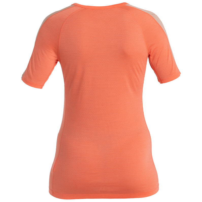 Icebreaker Damen 125 ZoneKnit Crew T-Shirt