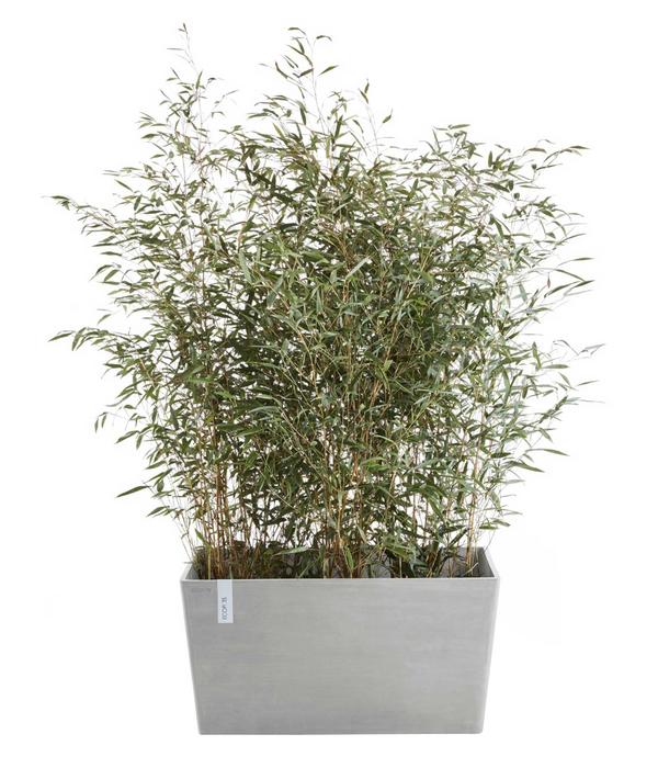 Ecopots Kunststoff-Kasten Paris, rechteckig