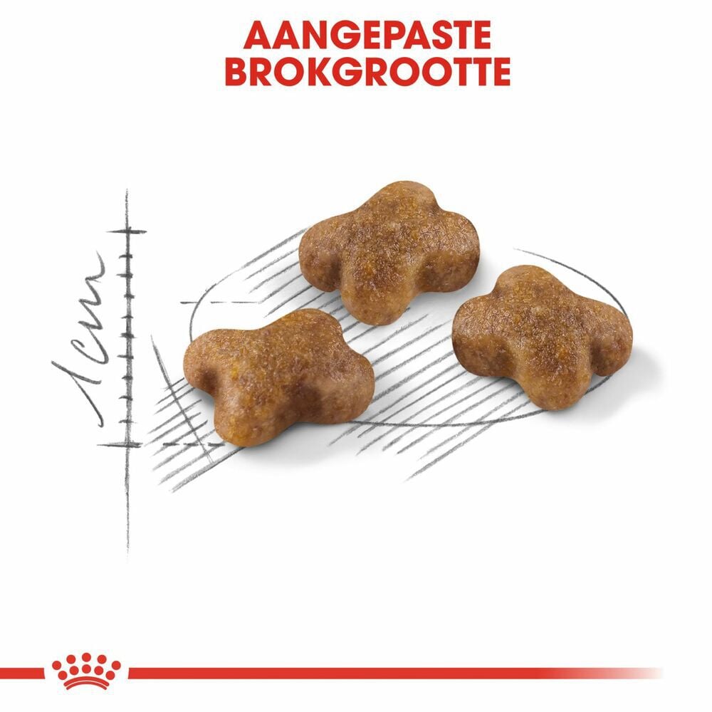 Royal Canin Kitten - Kattenvoer - 2 Kilogram - Gevogelte