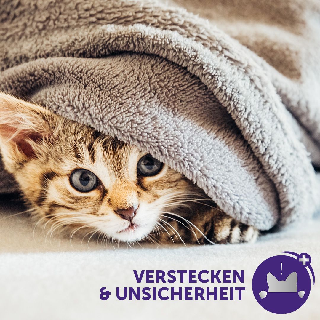 FELIWAY® Optimum Start-Set