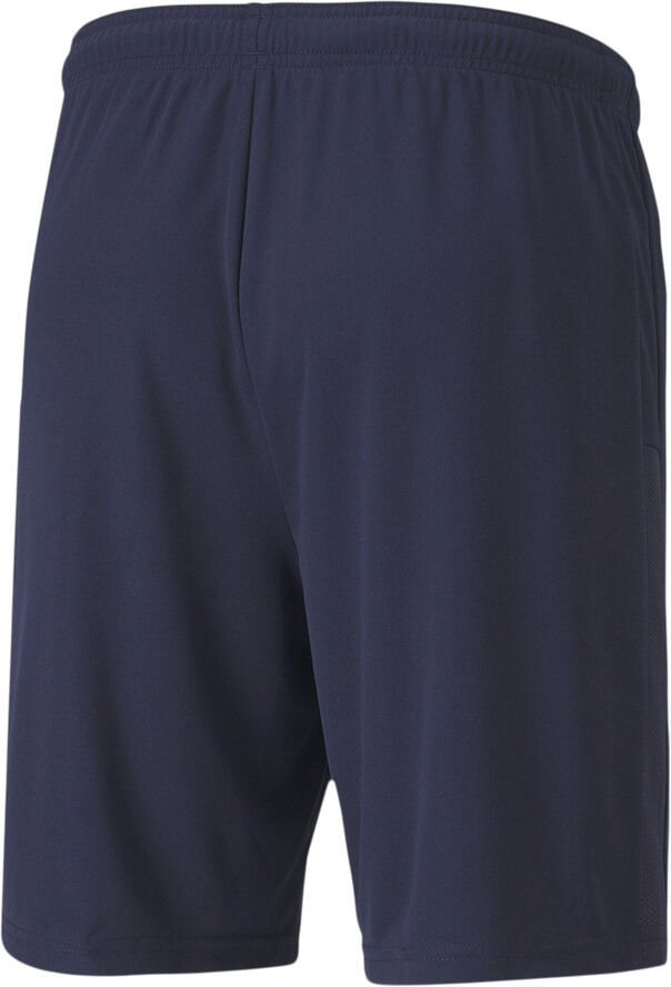 Puma Teamgoal 23 Knit shorts Blå