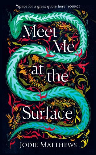 Meet Me at the Surface (Hardback)