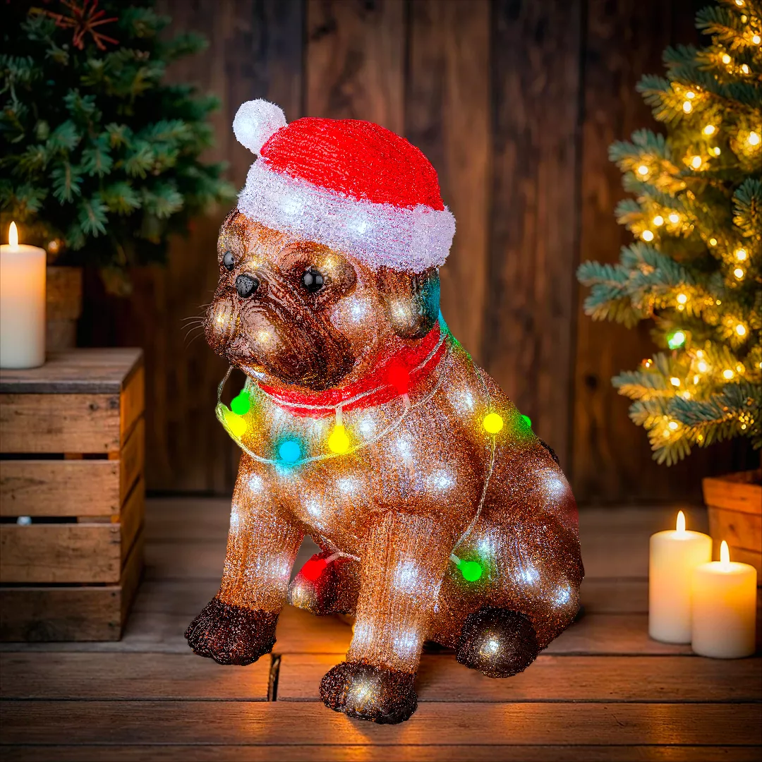 Chien lumineux 100 LED (H42 cm) Bouledogue Multicolore