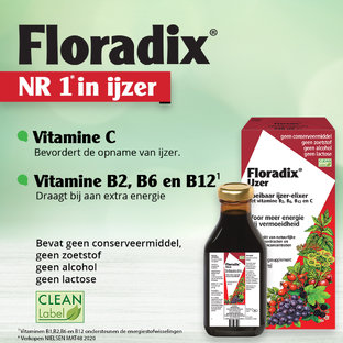 Salus Elixer Floradix - Duoverpakking 2x500ML