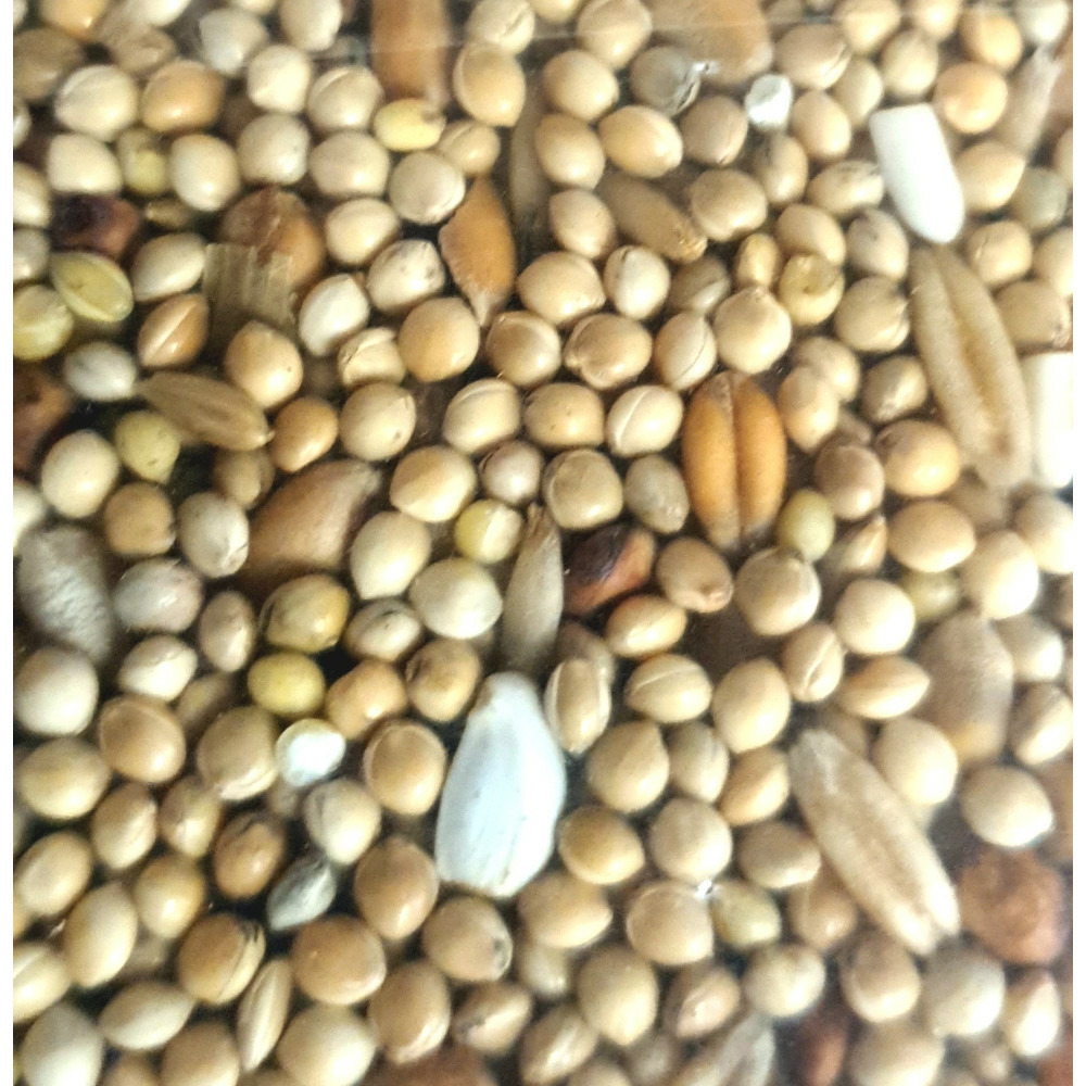 Graines pour grandes perruches sac de 1 kg pour oiseaux