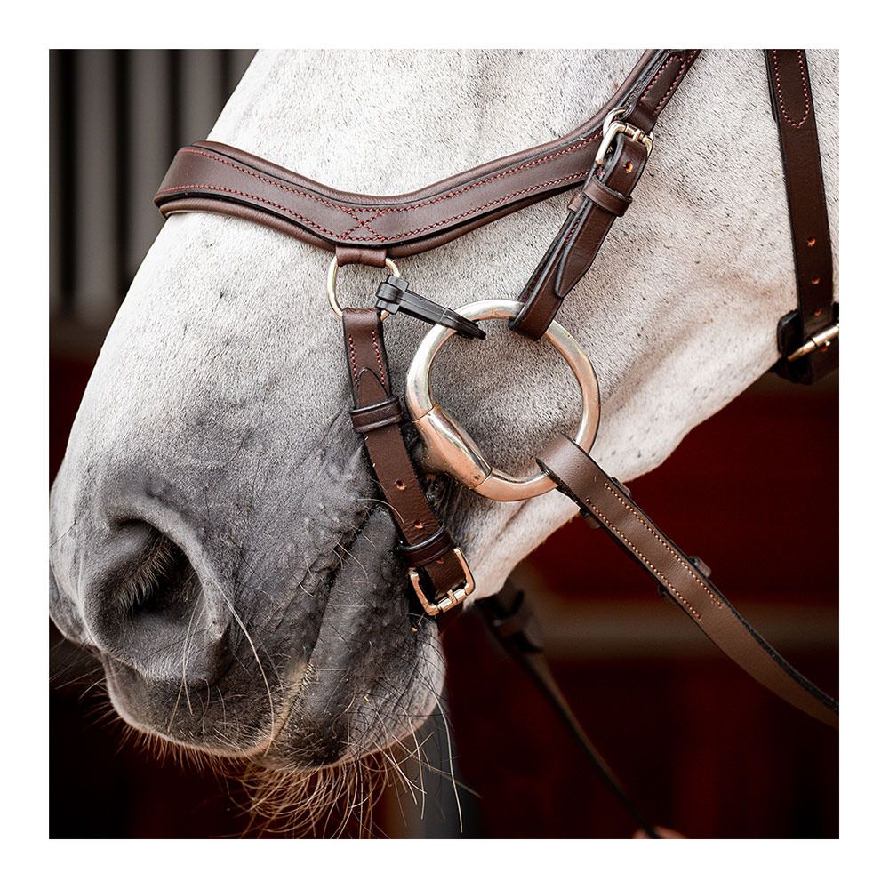 Horseware MICKLEM 2 COMPETITION - Bridon havana