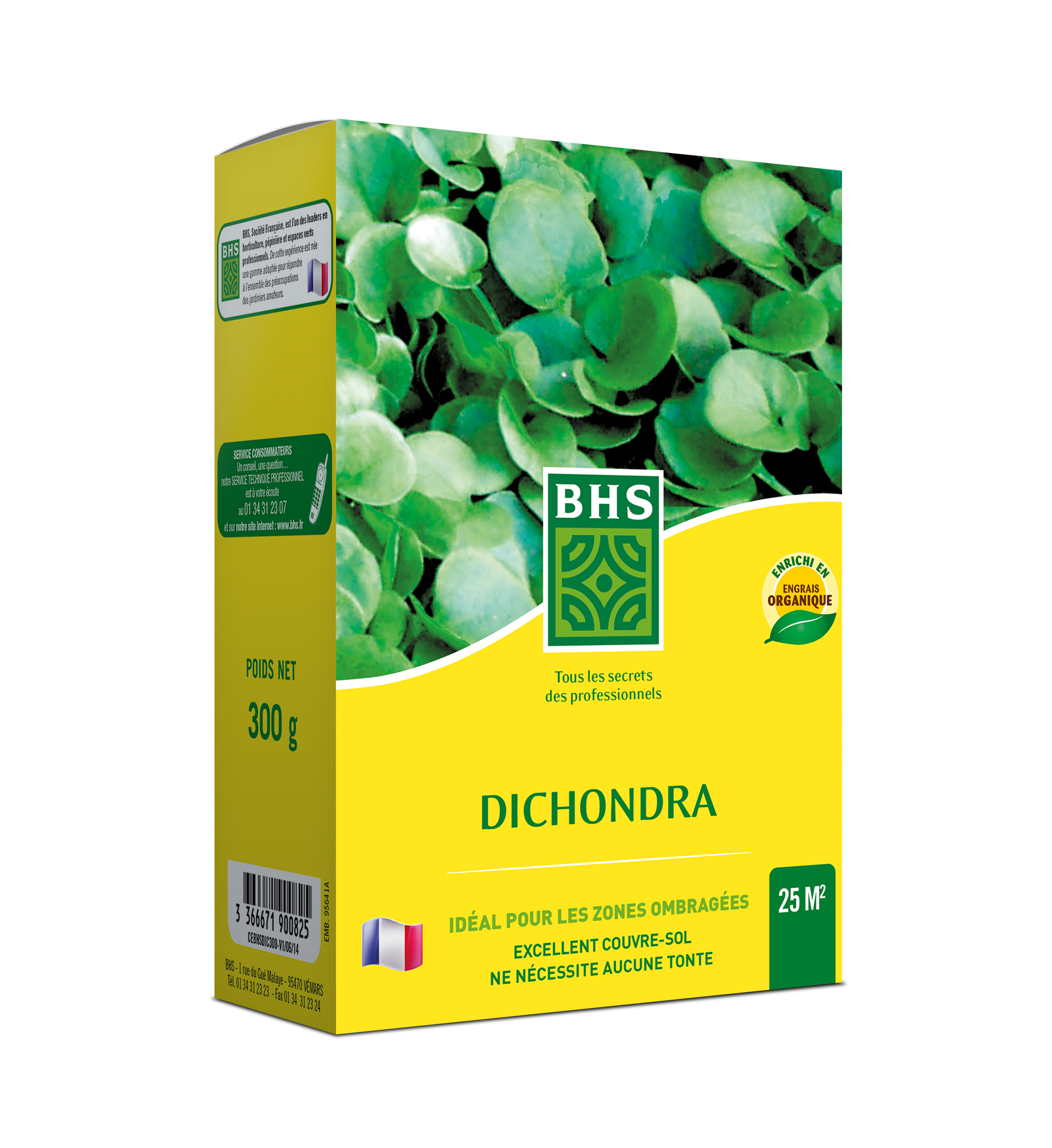 Dic300 | 300g | 25 m² | dichondra | climats doux | semences enrichies