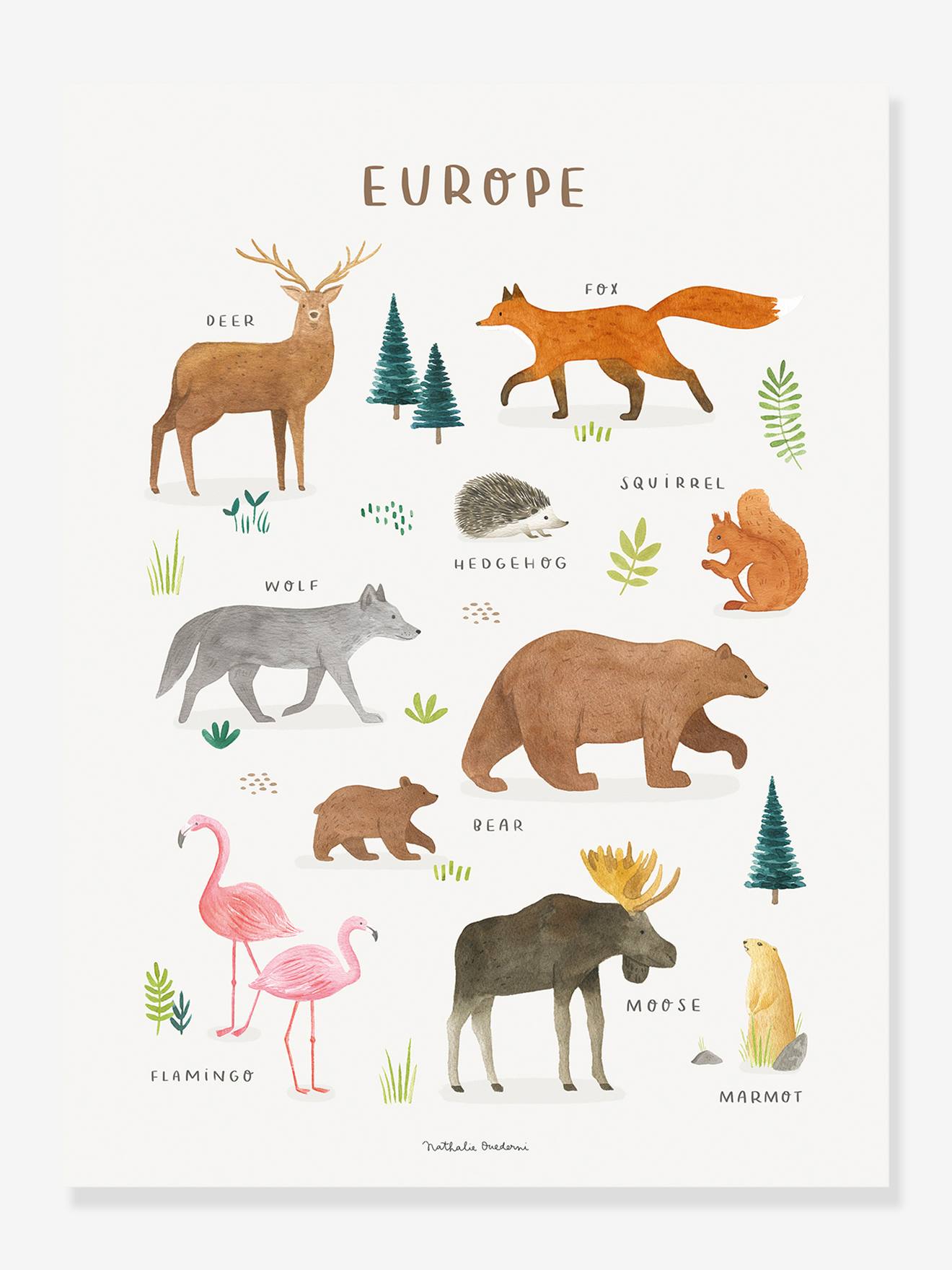 Estampa de animais europeus Lilydale LILIPINSO marrom