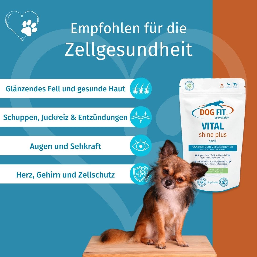 DOG FIT by PreThis® VITAL shine plus » Augen, Herz, Gehirn, Organe Präparat für Hunde (small)