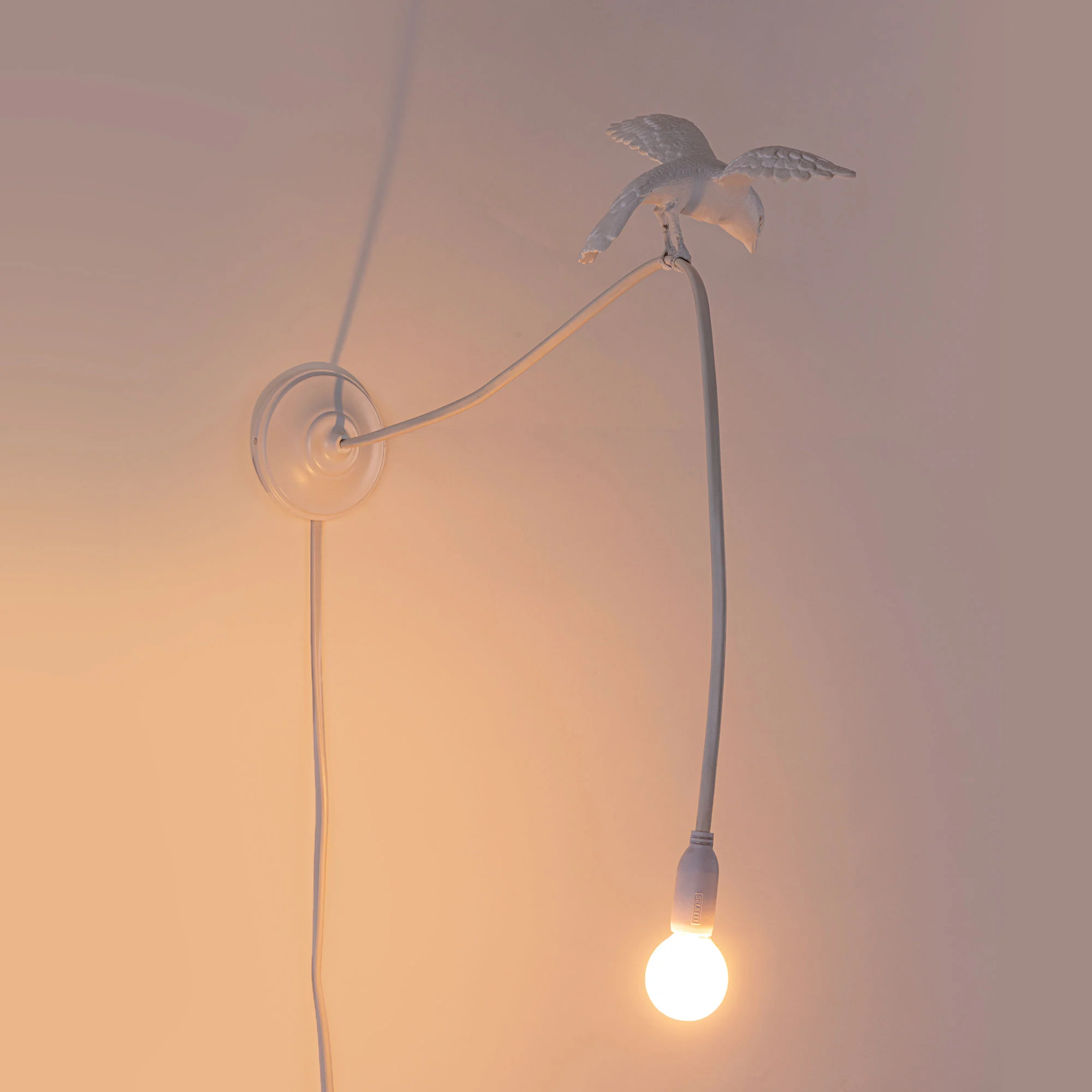 SPARROW / LANDING - Applique avec prise | Blanc