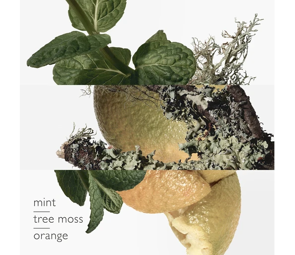 Hermès Eau d'orange verte Eau de Cologne