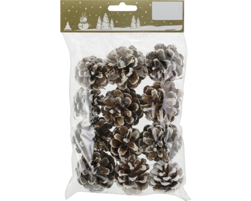 Kerstdecoratie dennenappels, naturel wit, 12 stuks
