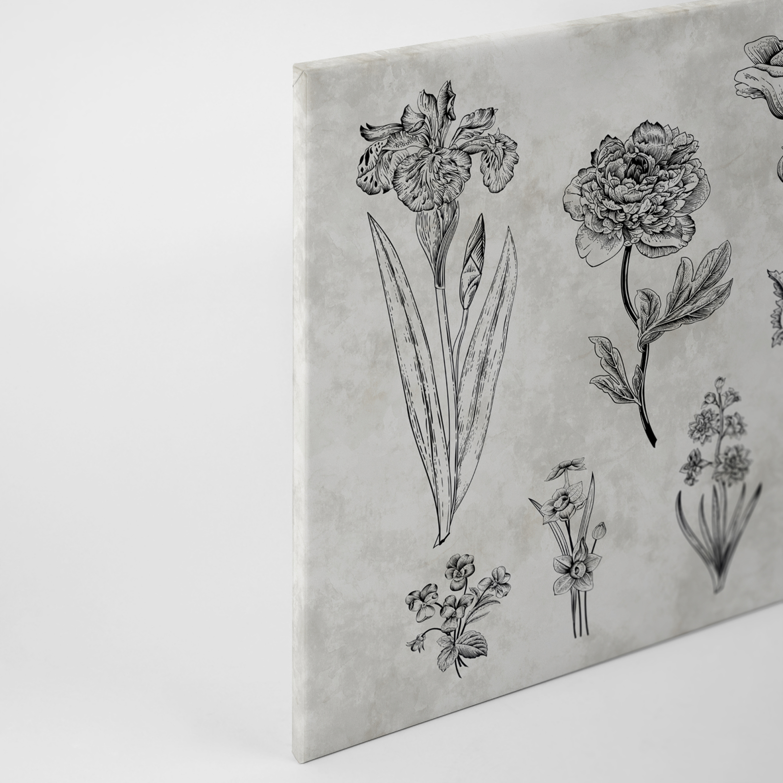 Leinwandbild BLUMEN - grau-schwarz - 90x60 cm