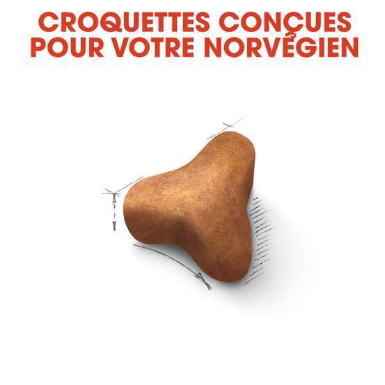 Croquettes chat norvegien Adulte à partir de 12 mois 2kg