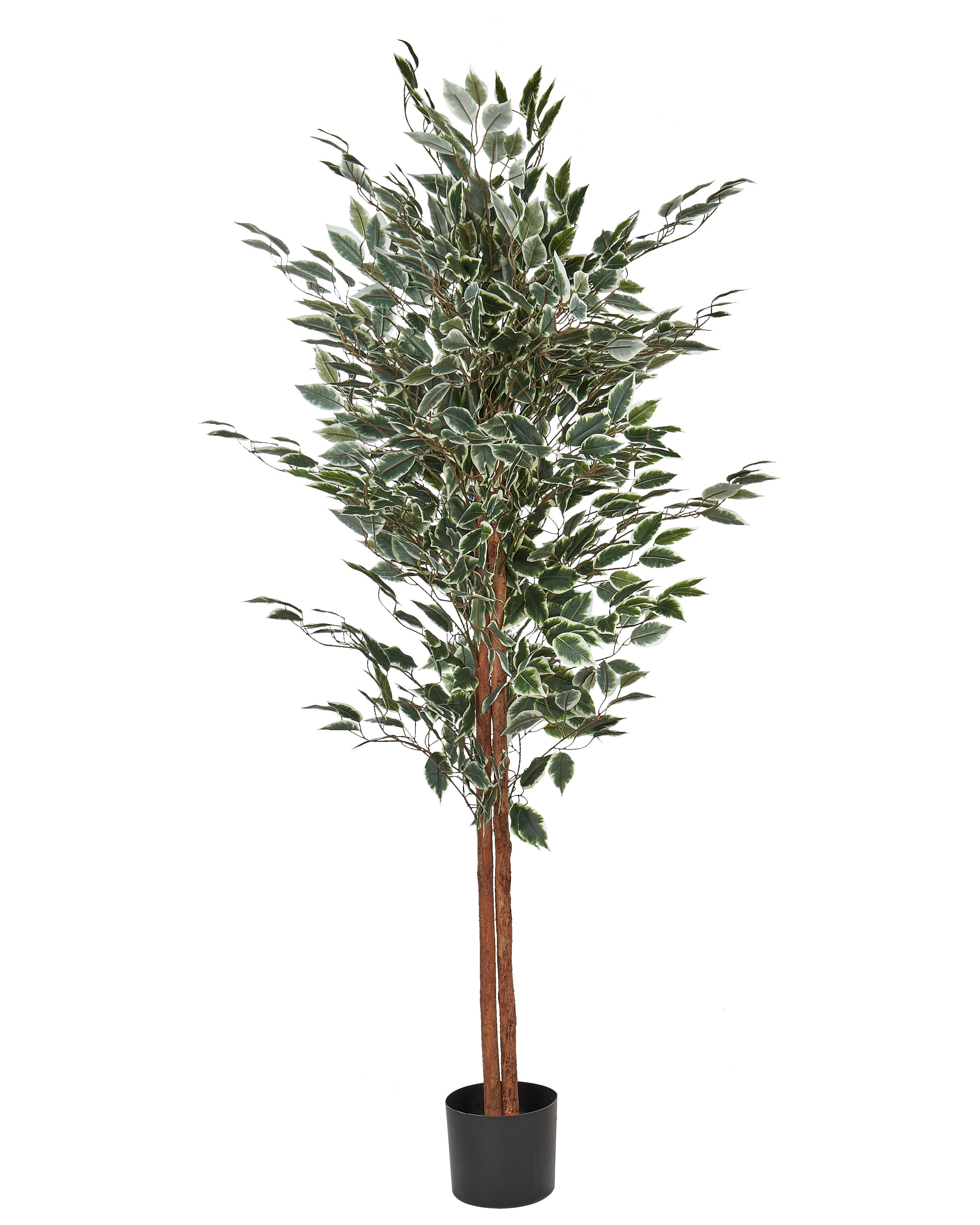 Kunstplant FICUS 167 cm Groen