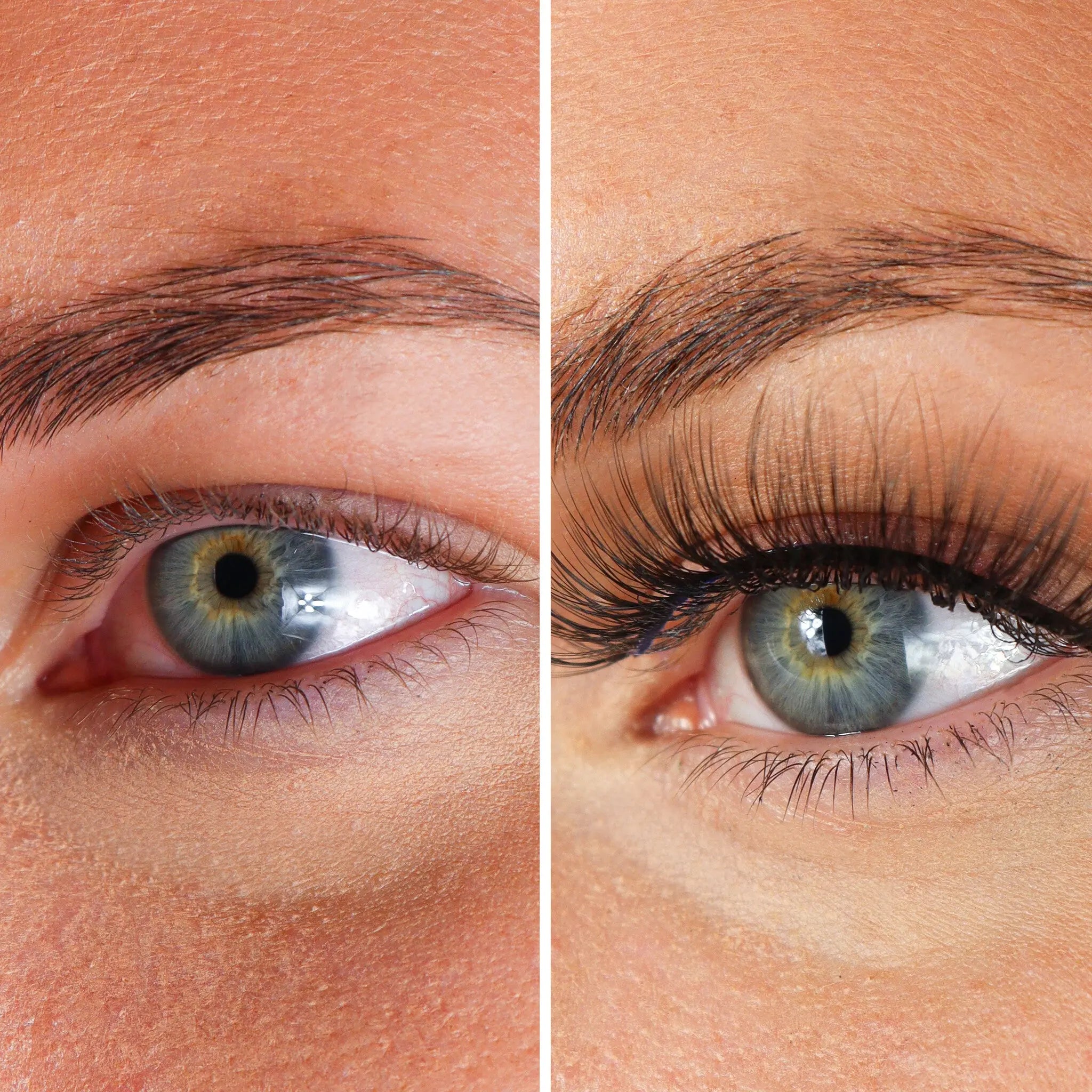 Lashes Armanda