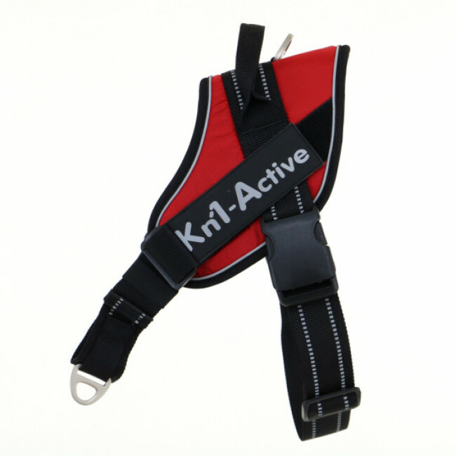 Harnais d'éducation Kn'1 Active Speed Control pour chien