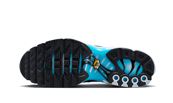 Nike Air Max Plus Baltic Blue - 48h Delivery