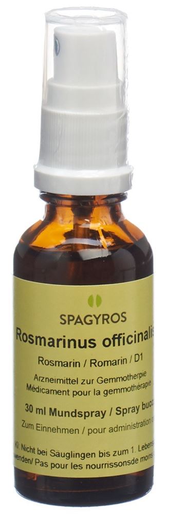 Spagyros Rosmarinus officinalis Glyc Maz 1 D Spr 30 ml