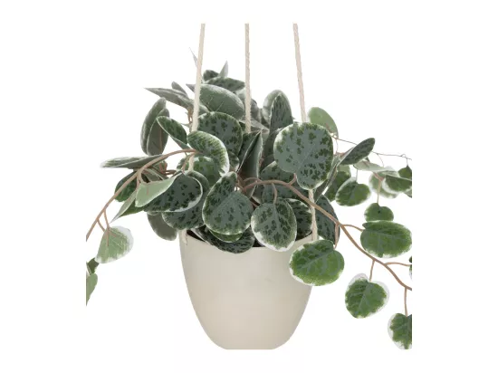 Plante tombante artificielle pot Blanc H 80 cm