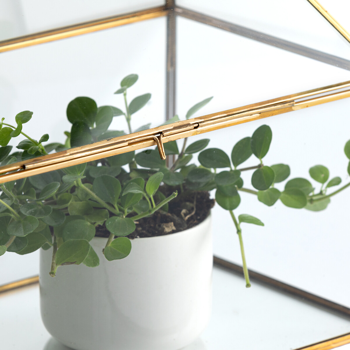 LA REDOUTE INTERIORS<br>Estufa de vidro e latão, Uyova