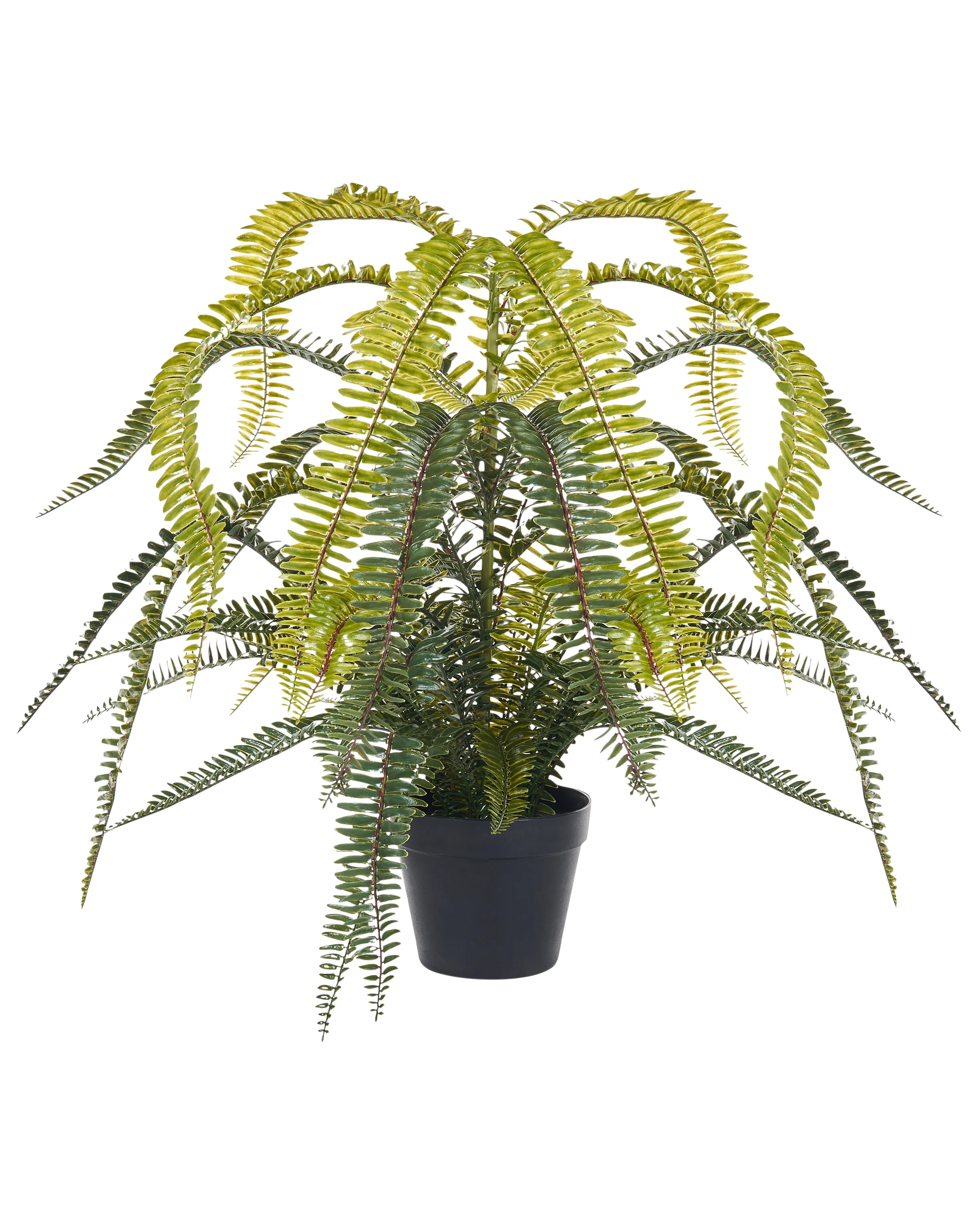 Kunstplant FERN LEAF PLANT 105 cm Groen