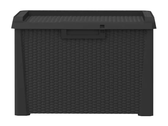 Boîte de rangement de jardin anthracite 125 L PP