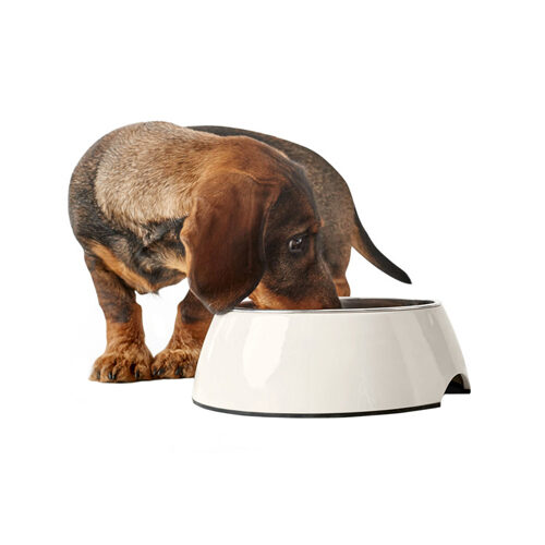 Hunter Melamine Voer- en Drinkbak - Wit