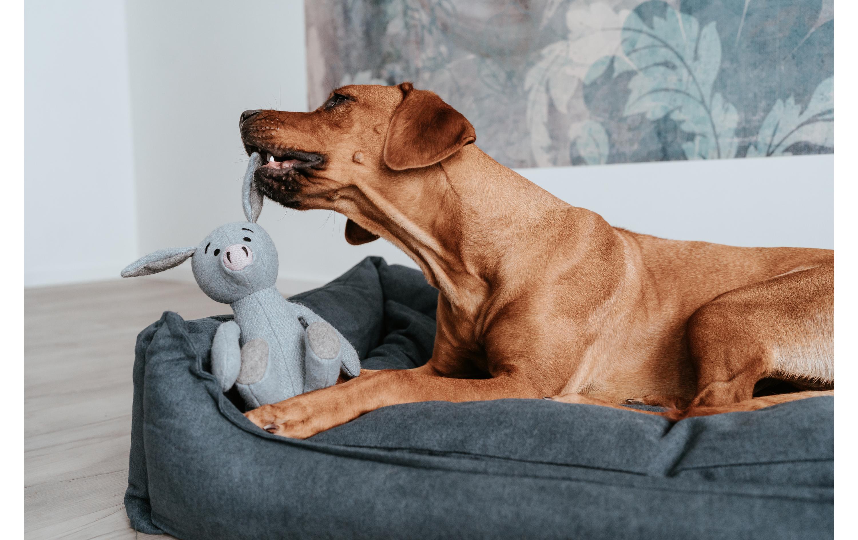 Hunde-Spielzeug Marle Schwein, 35 cm, BlauHundespielzeug