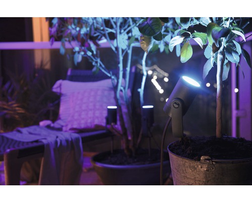 Philips Hue LED Spot 1x Extension White & Color Ambiance Outdoor RGB 8W 640 lm 2000-6500 K zwart - compatibel met SMART HOME van Hornbach