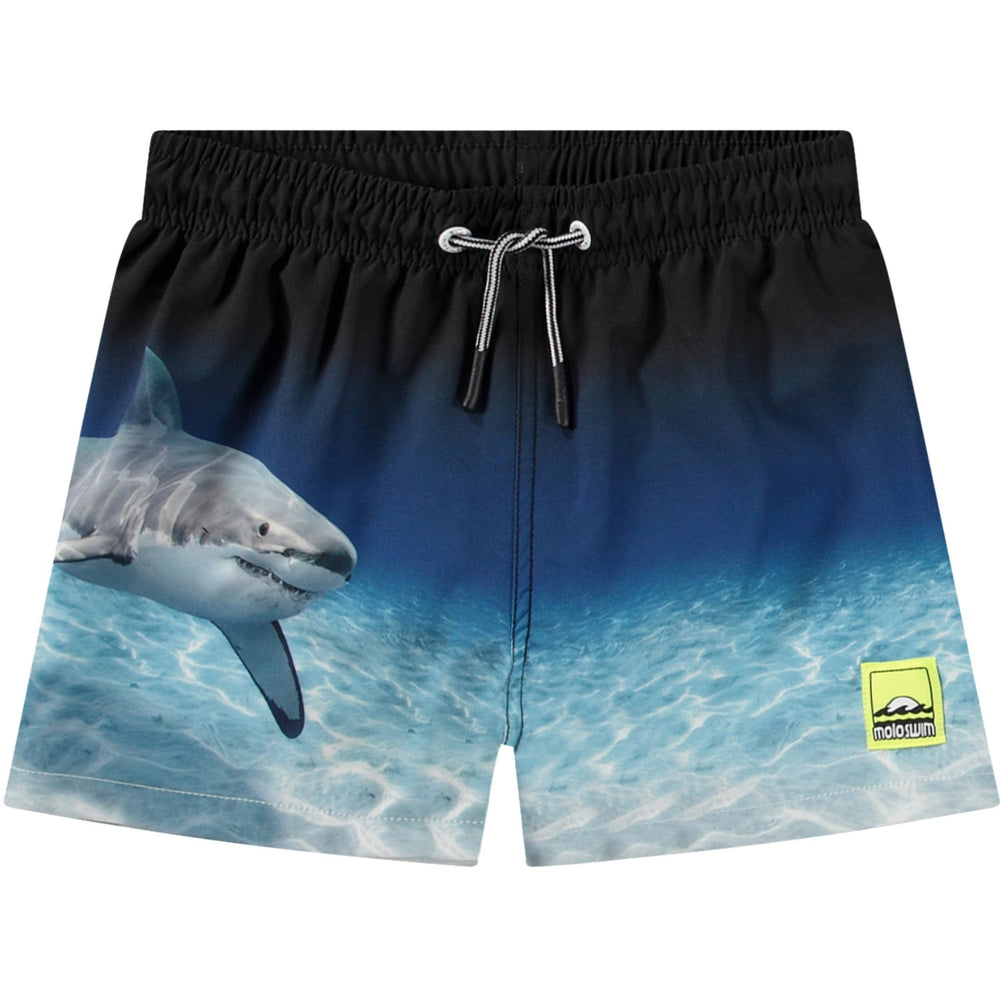 Køb Molo Faded Shark Niko Boardies