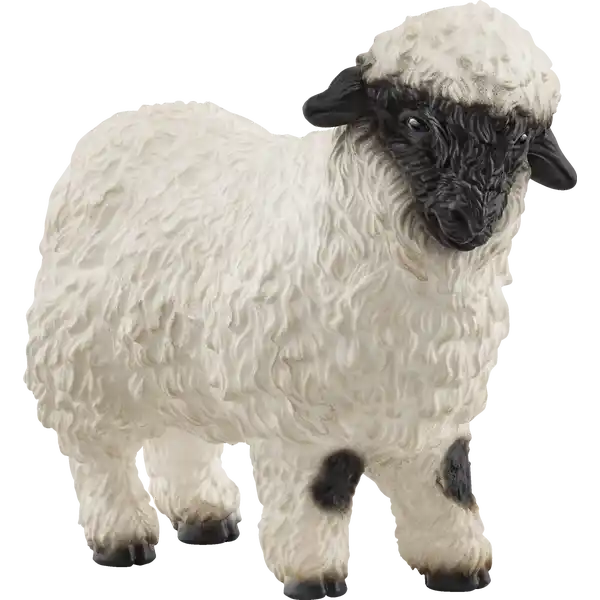 13965 Walliser Schwarznasenschaf