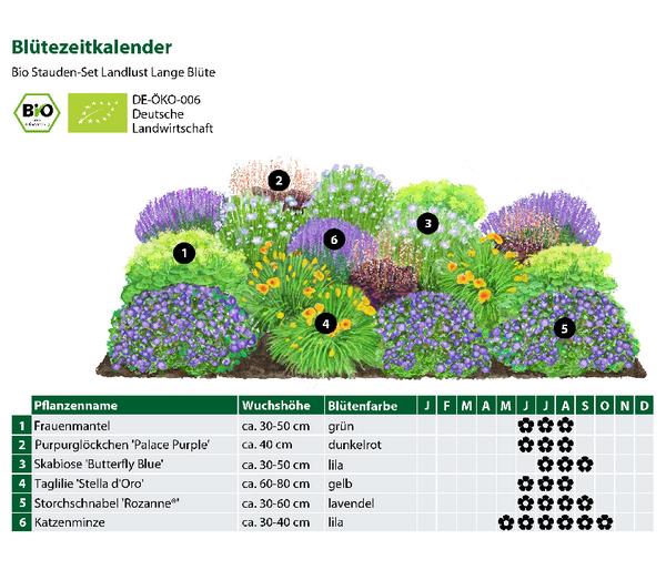 Bio Stauden-Set Lange Blüte, Landlust