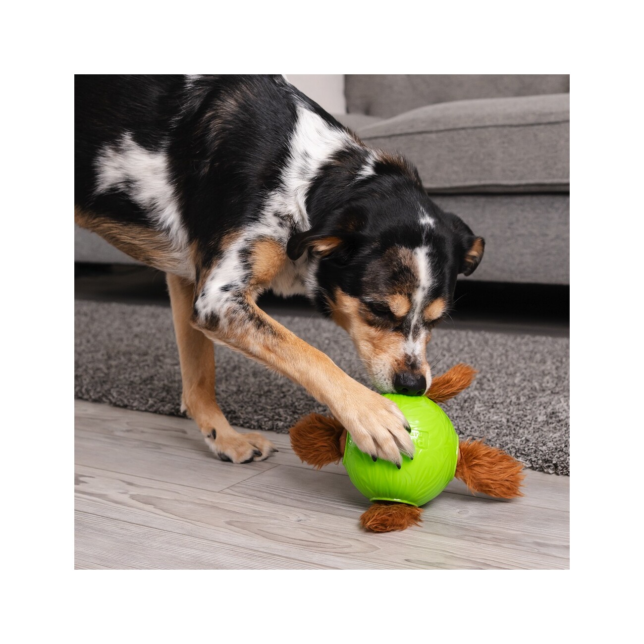Nina Ottosson Dog Snuffle N' Treat Ball small Intelligenzspielzeug