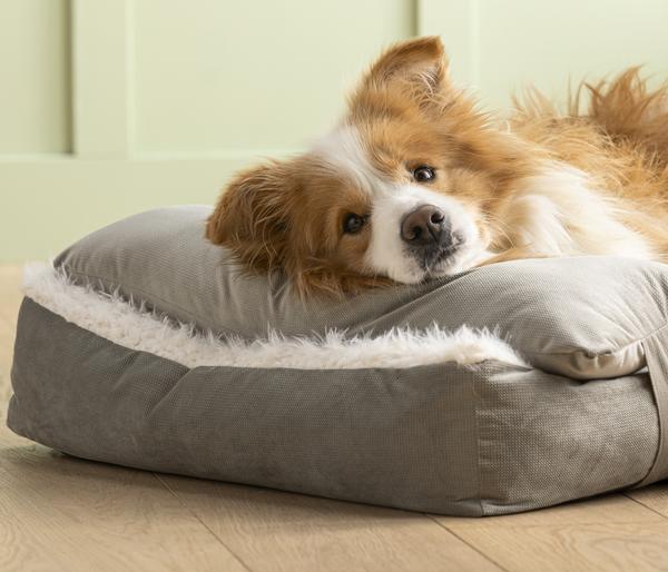 Dehner Lieblinge Kuschelkissen Duchesse,