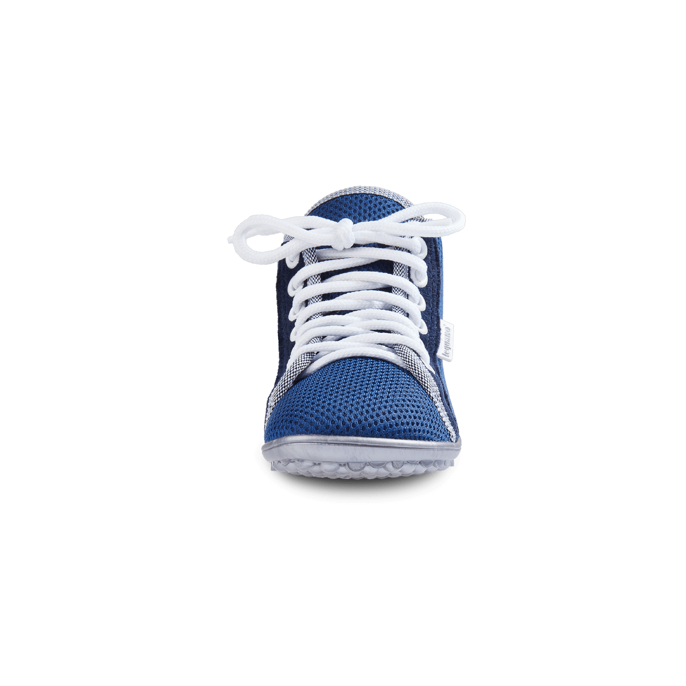 leguanito aktiv plus blau