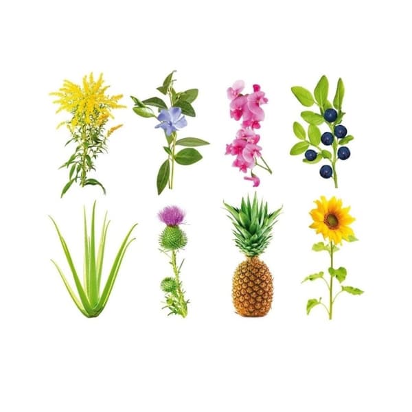 Click & Grow Smart Garden Refill 3-pakning - Eksperimentell (SGR0X3)