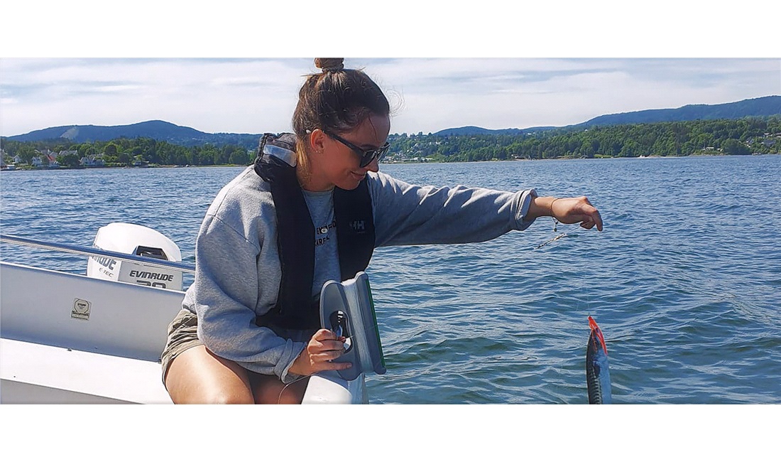 Fiskeharp Havwinder 100m./ 300g synk