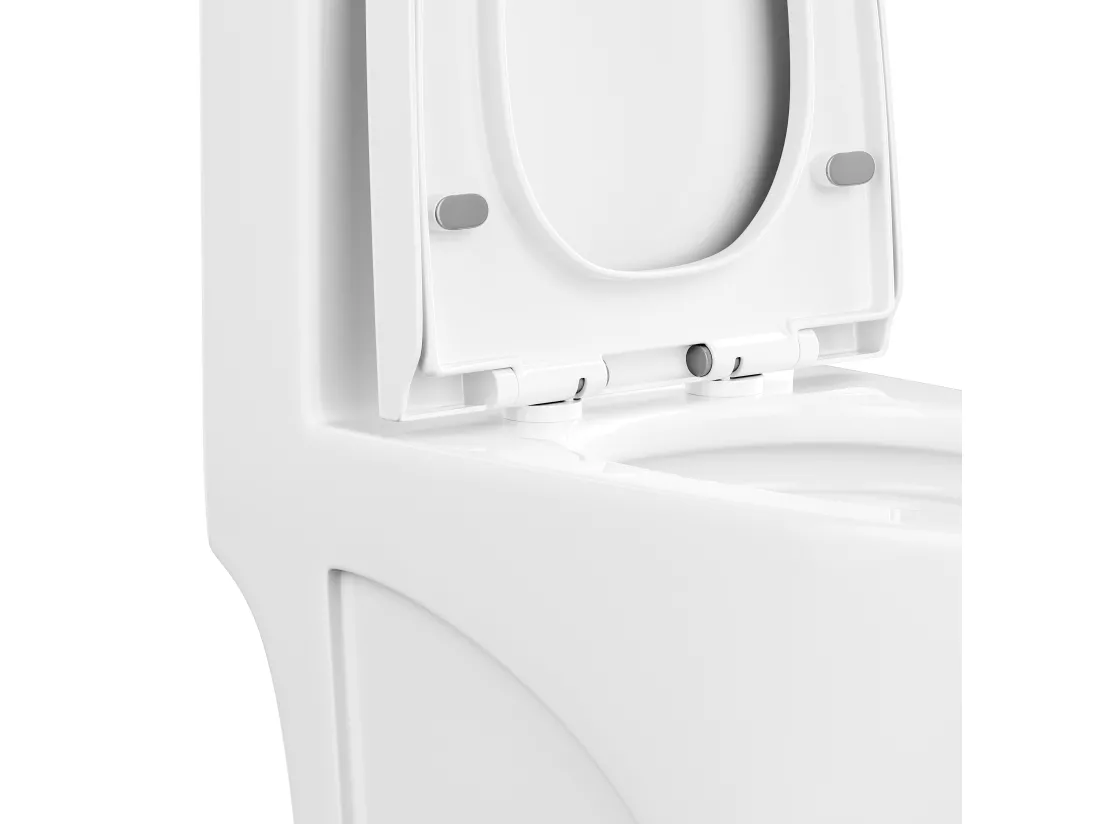 WC à poser blanc brillant en céramique - Evacuation horizontale - NAGILAM