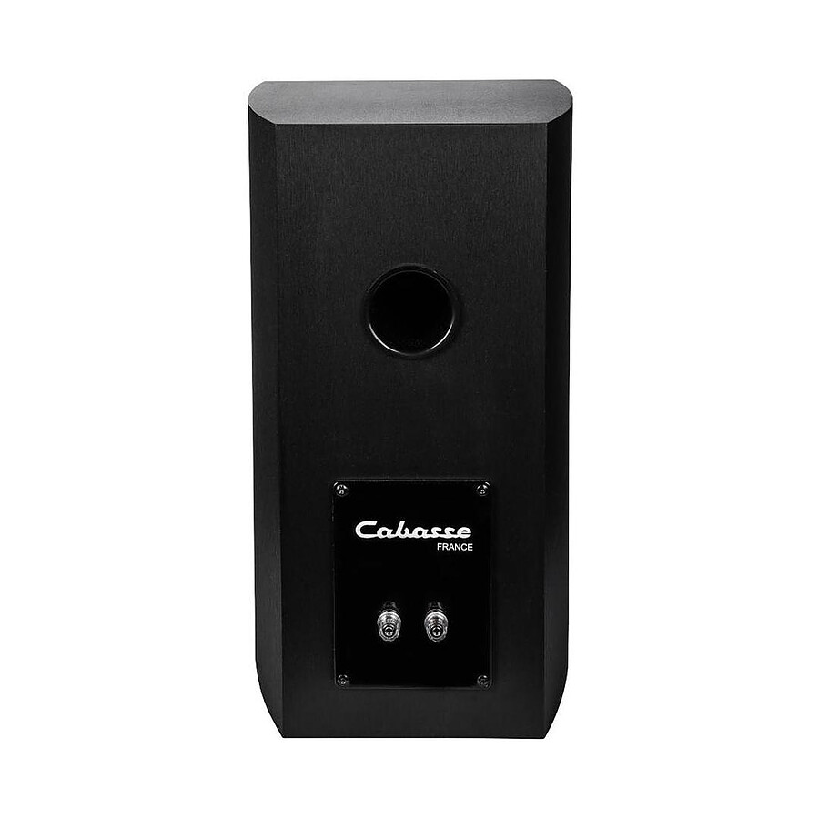 Cabasse ABYSS + Cabasse Antigua MC170 Noir brossé