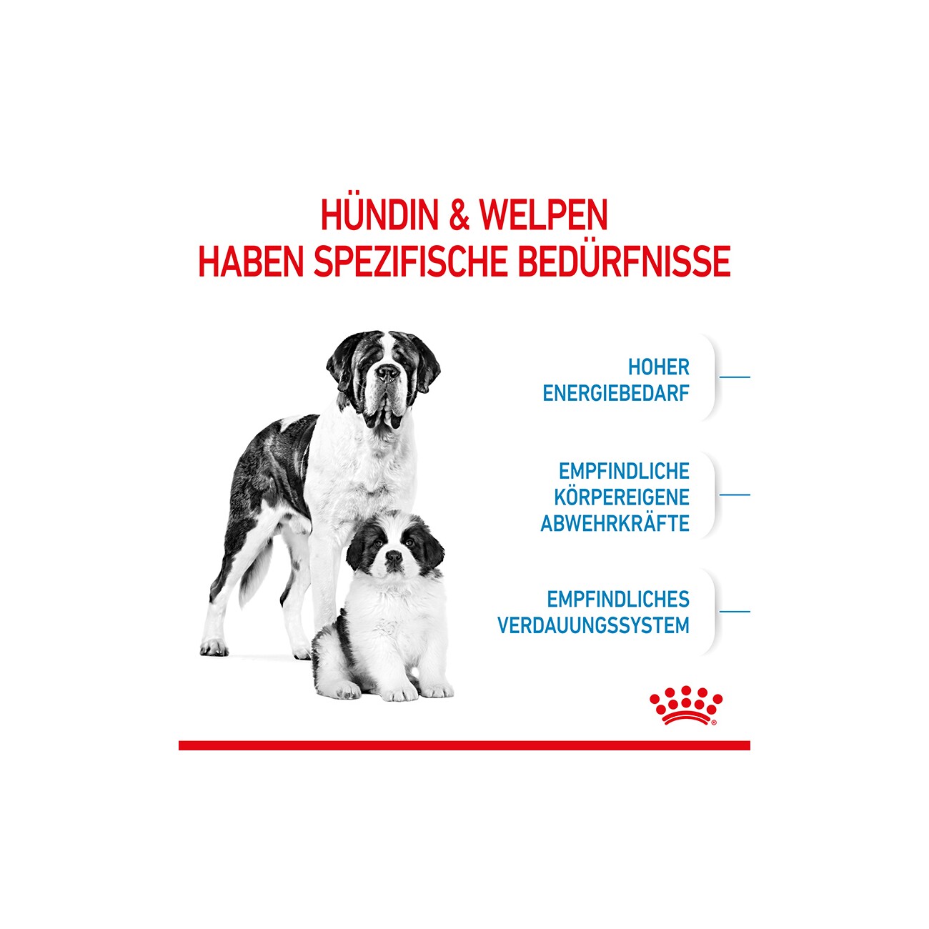 ROYAL CANIN Giant Starter 15kg