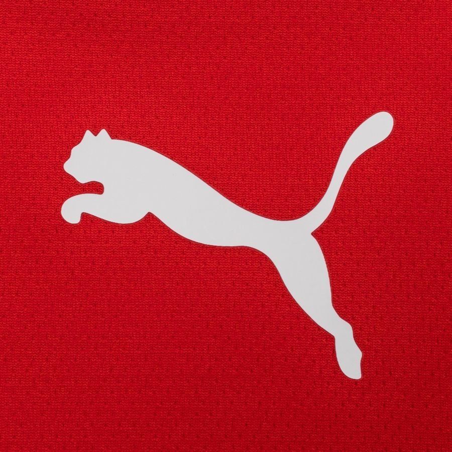 PUMA Maillot teamRISE - Rouge/Noir/Blanc